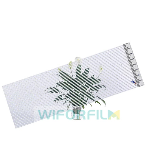 flexible transparent led film display